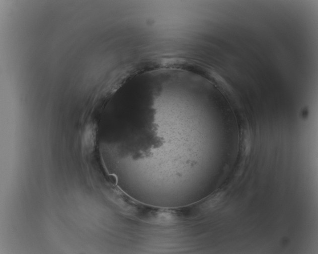 X0000112890475200908281705
