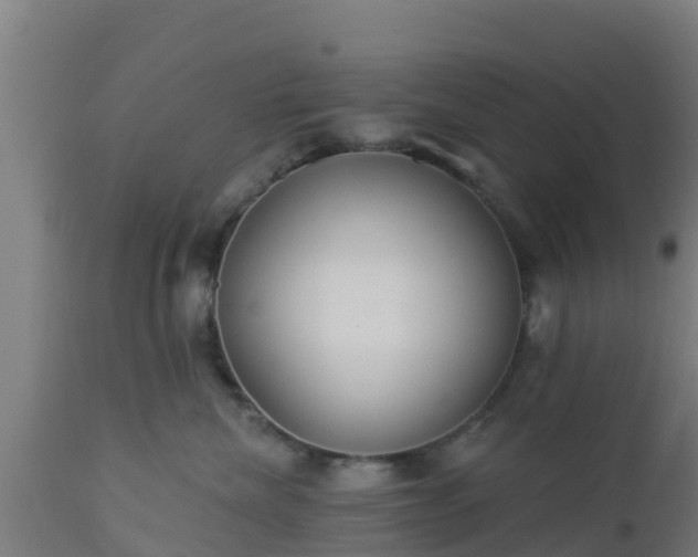 X0000112890476200908281705