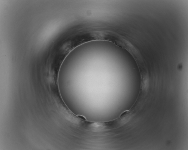 X0000112890477200908281705
