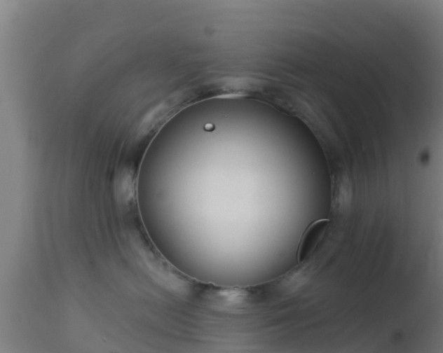 X0000112890478200908281705