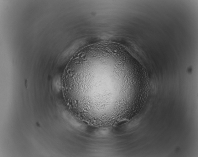 X0000112890479200908281705