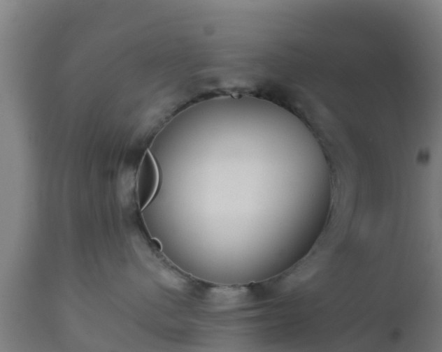 X0000112890480200908281705