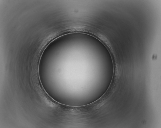 X0000112890481200908281704