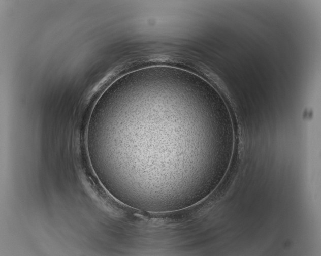 X0000112890482200908281704