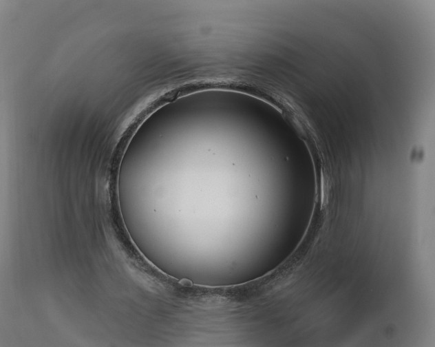 X0000112890483200908281704