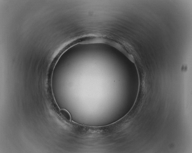 X0000112890484200908281704