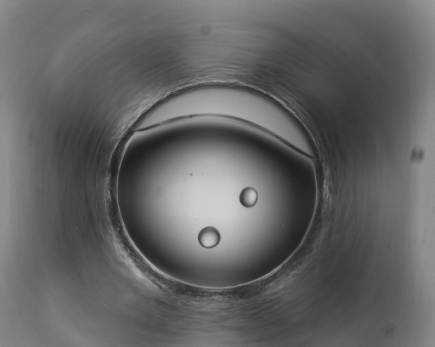 X0000112890485200908281704