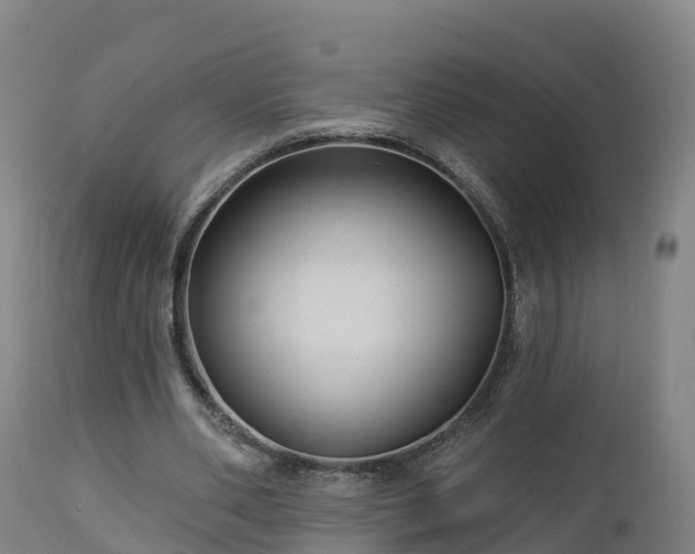 X0000112890486200908281704