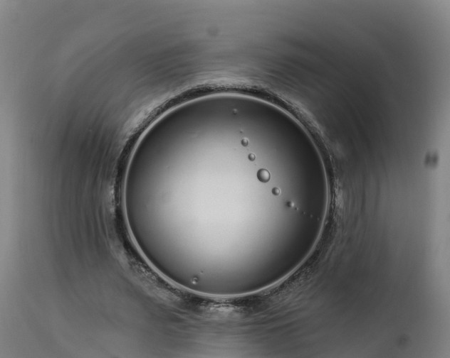X0000112890487200908281704
