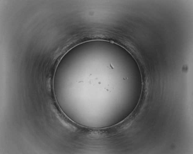 X0000112890489200908281704