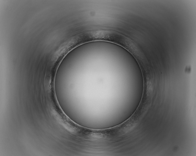 X0000112890490200908281704