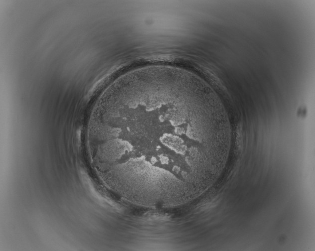 X0000112890491200908281704