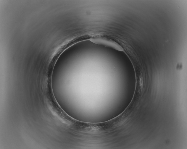 X0000112890492200908281704