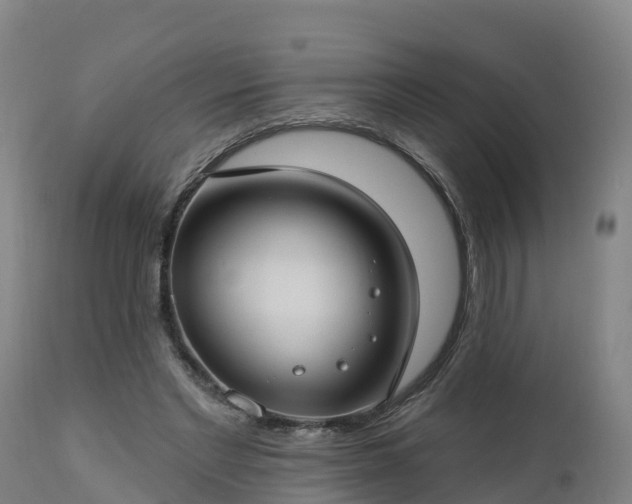 X0000112890493200908281704