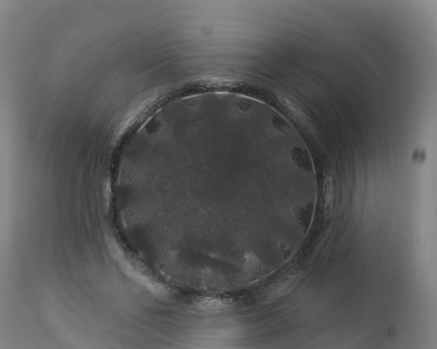 X0000112890494200908281704