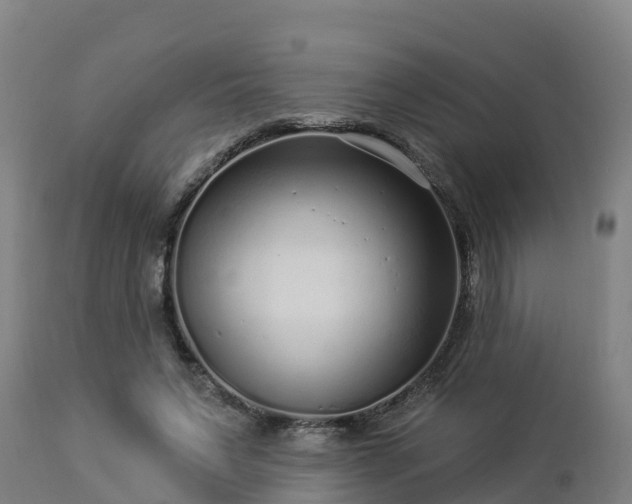 X0000112890495200908281704