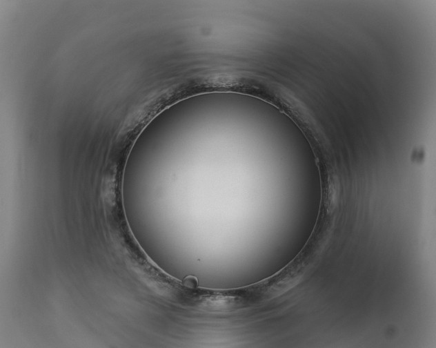 X0000112890497200908281704