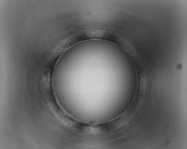 X0000112890498200908281704