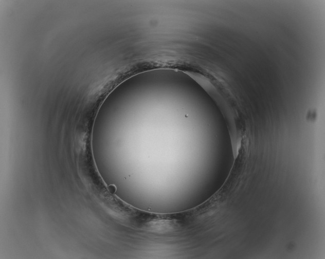 X0000112890499200908281704