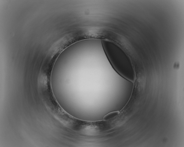 X0000112890500200908281704