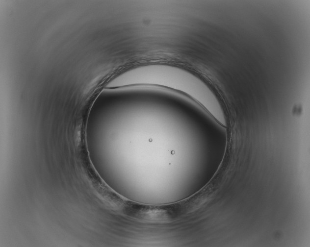 X0000112890501200908281704