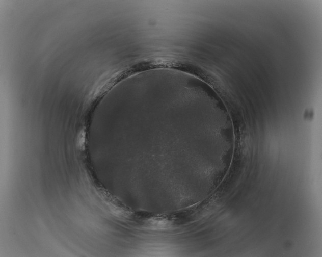 X0000112890502200908281704