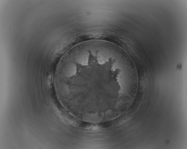 X0000112890503200908281704