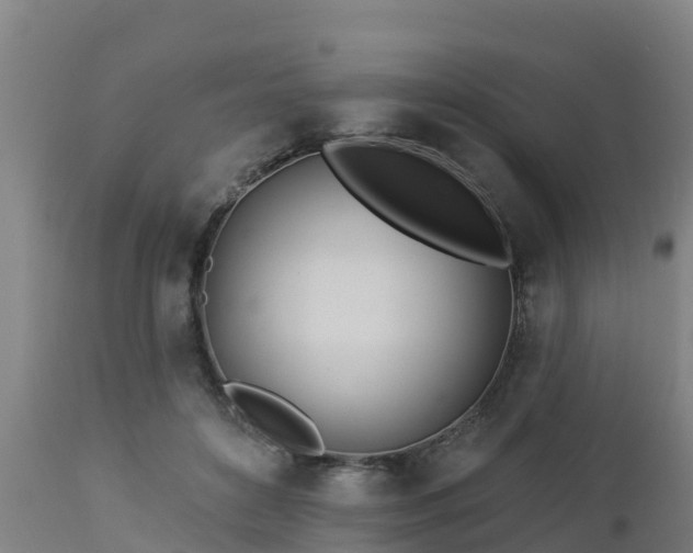 X0000112890504200908281704