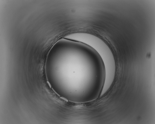 X0000112890505200908281704