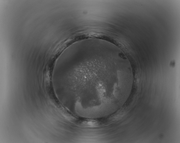 X0000112890506200908281704