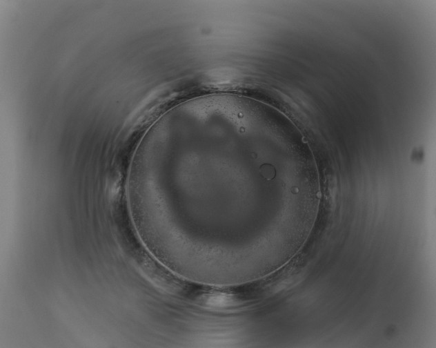 X0000112890507200908281704