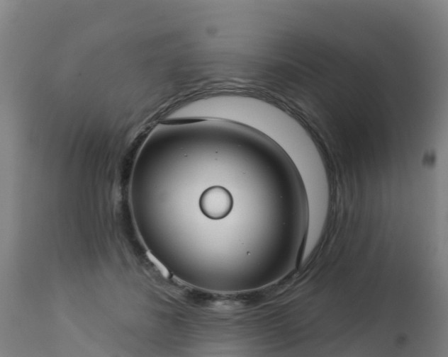 X0000112890508200908281704