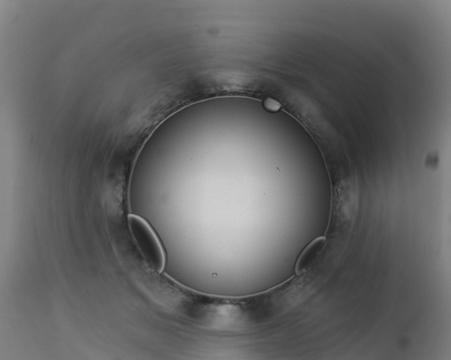 X0000112890509200908281704