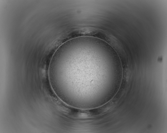 X0000112890510200908281704
