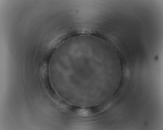 X0000112890511200908281704