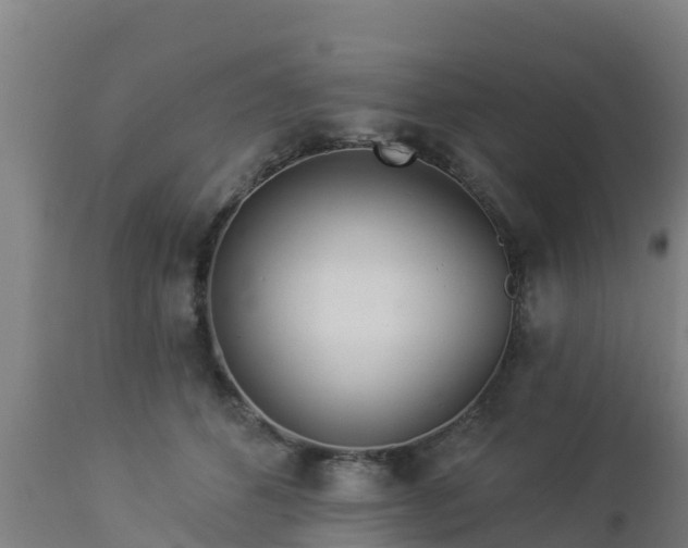 X0000112890512200908281704