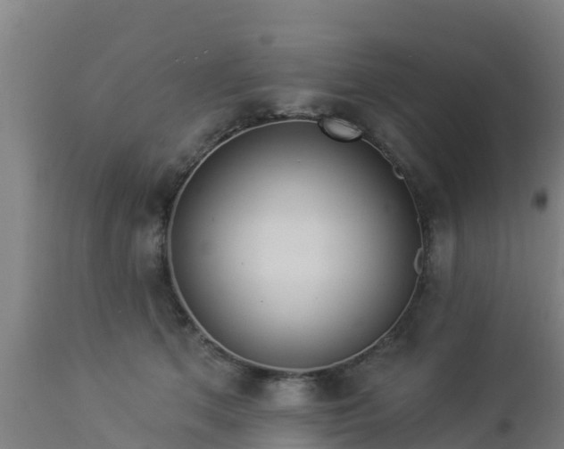 X0000112890513200908281704