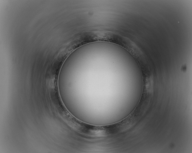 X0000112890514200908281704