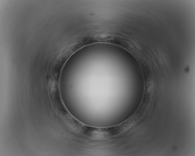 X0000112890515200908281704
