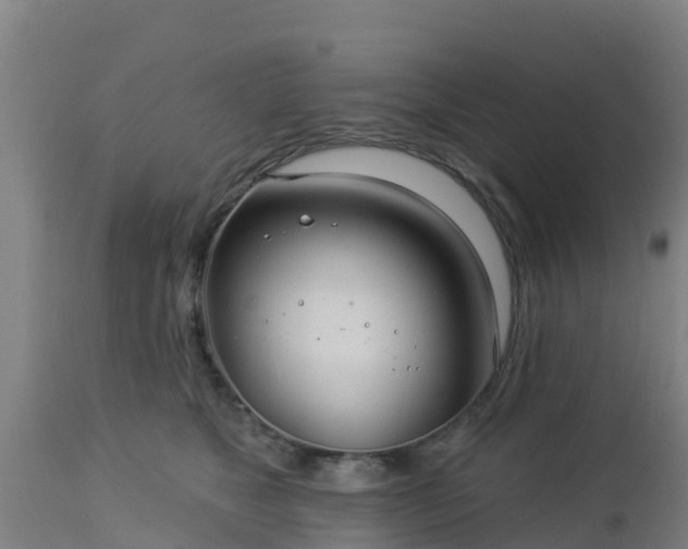 X0000112890517200908281704