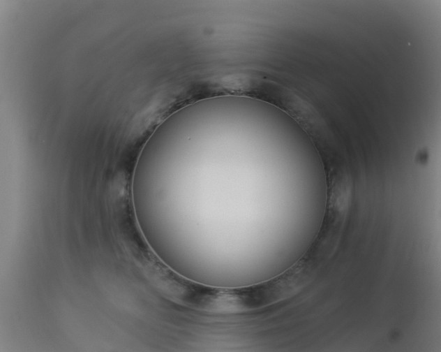 X0000112890518200908281704