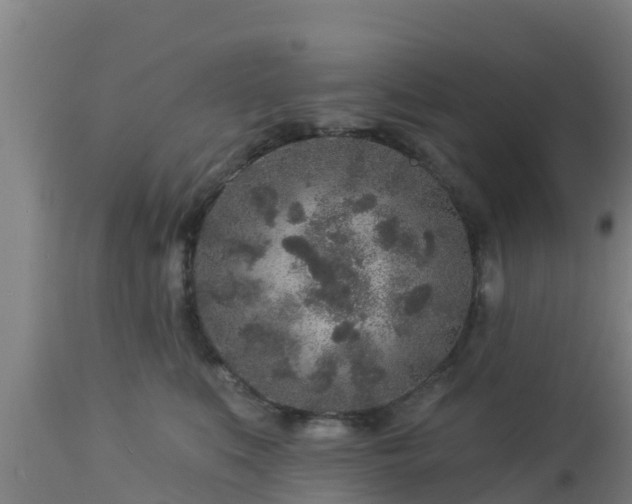 X0000112890519200908281704