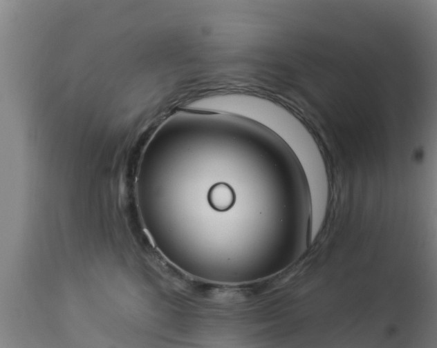 X0000112890520200908281704