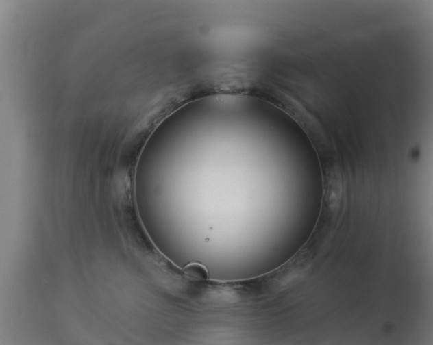 X0000112890523200908281704