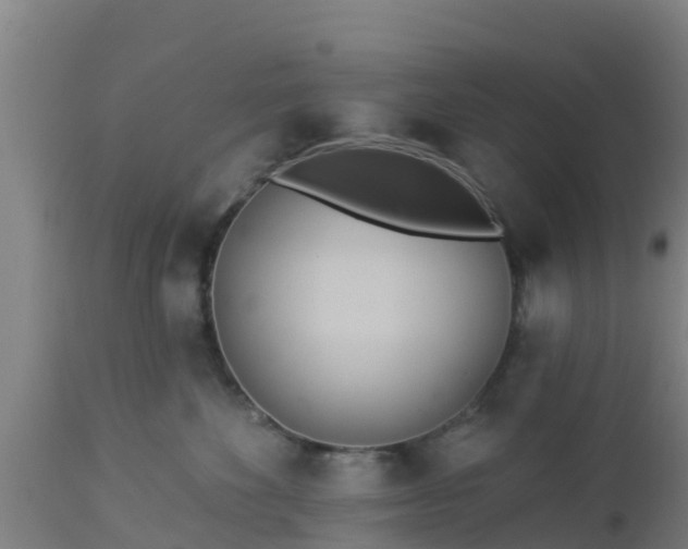 X0000112890524200908281704
