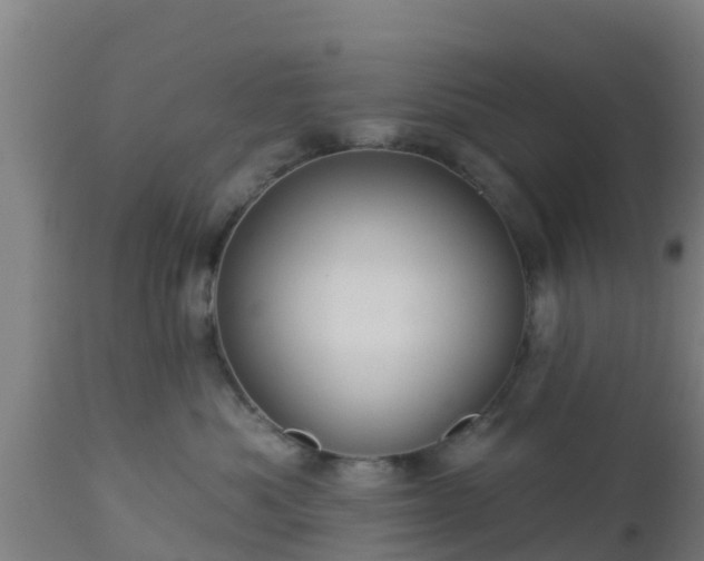 X0000112890525200908281704