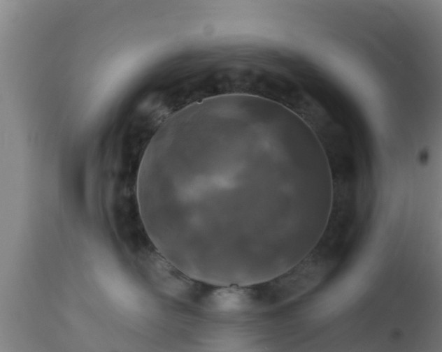 X0000112890526200908281704