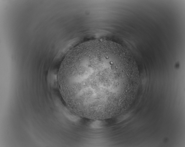 X0000112890527200908281704