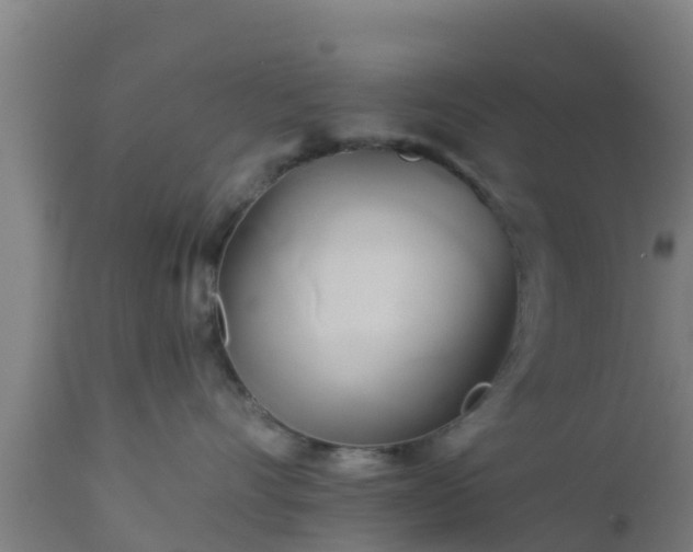 X0000112890528200908281704
