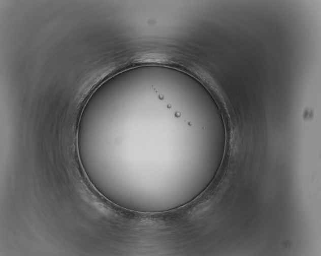 X0000112890529200908281703